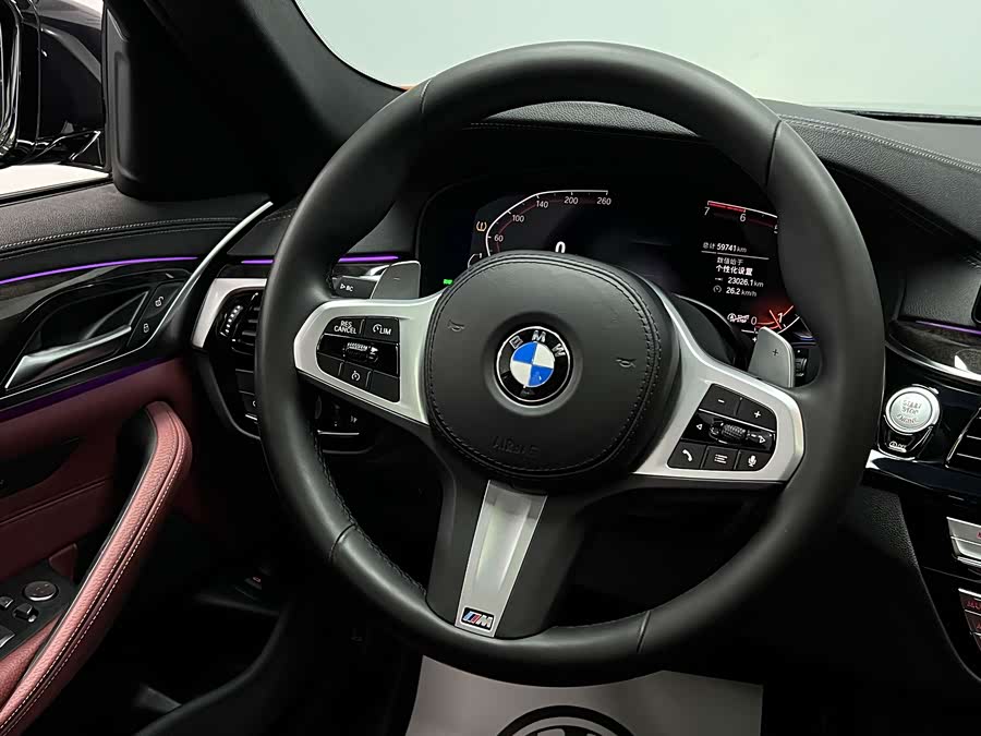 BMW 5 Series 2020 car image #21