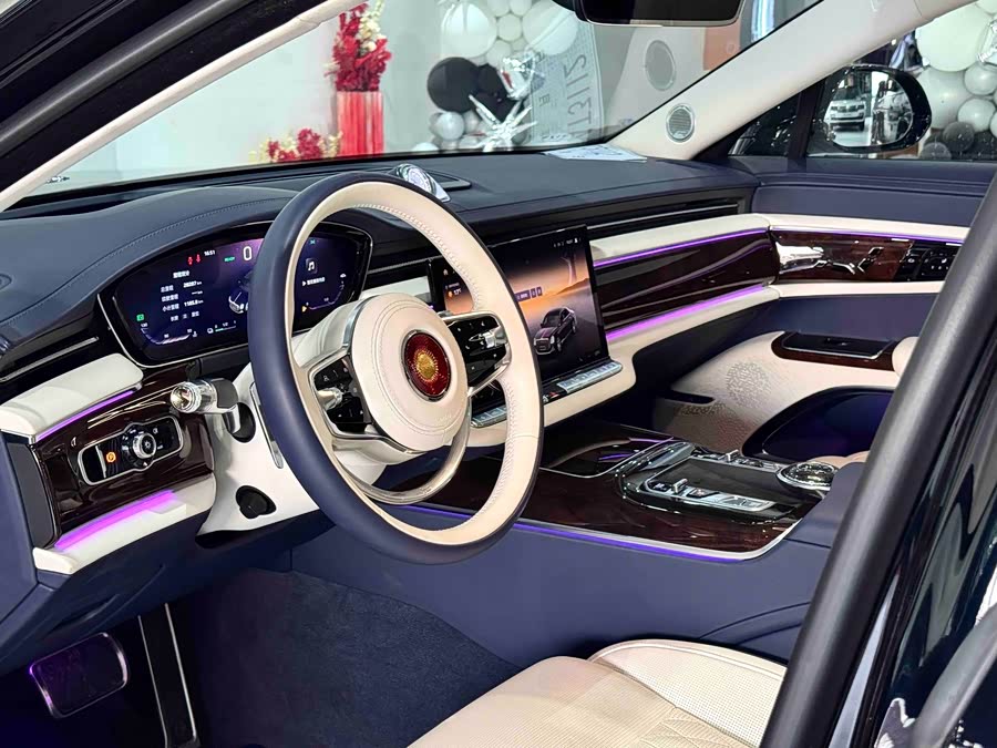 HongQi GuoYa 2024 #21 HongQi GuoYa 2024 car image #21