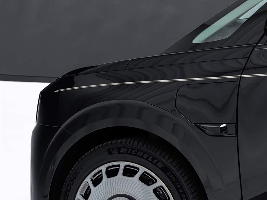 极氪 极氪009 2025 汽车图片 #21