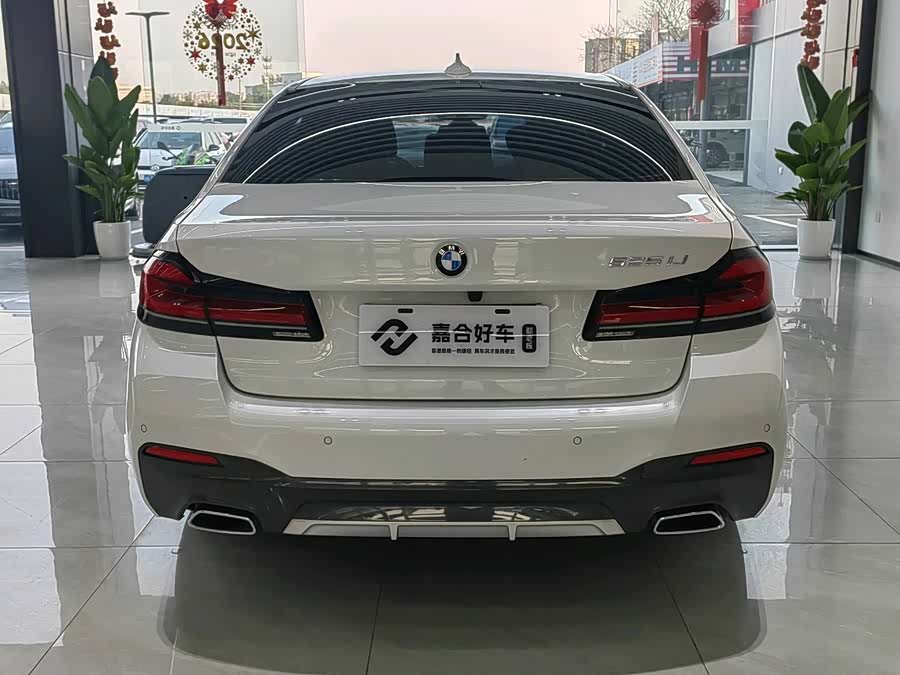 BMW 5 Series 2021 car image #21