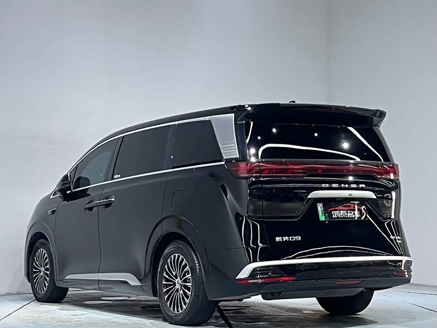 Denza D9 2025 imagen de coche #21