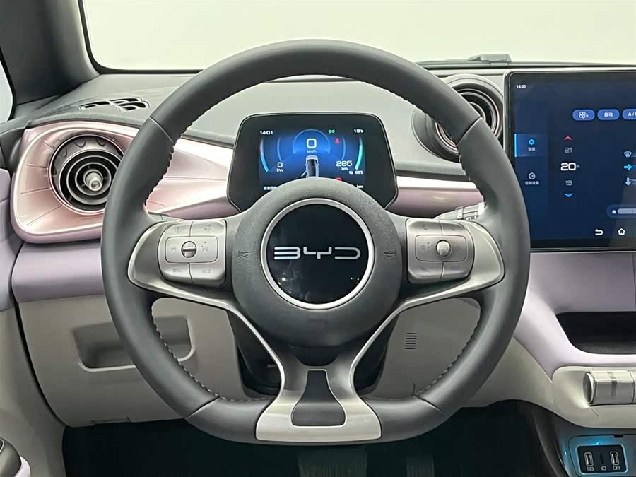 BYD Dolphin 2023 immagine di auto #21