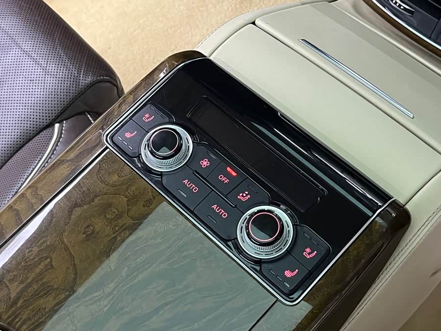 Audi A8 2013 imagen de coche #21