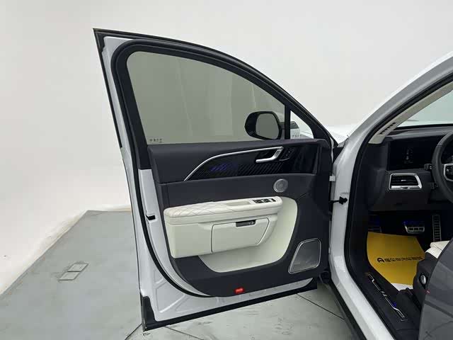 HongQi E-HS9 2023 car image #21