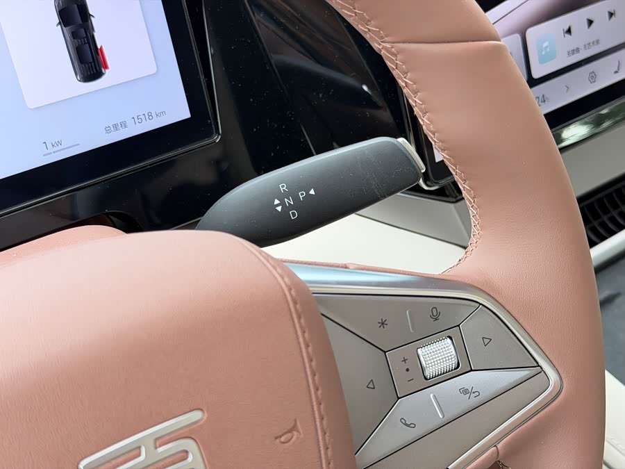 BYD Xia 2025 imagen de coche #21