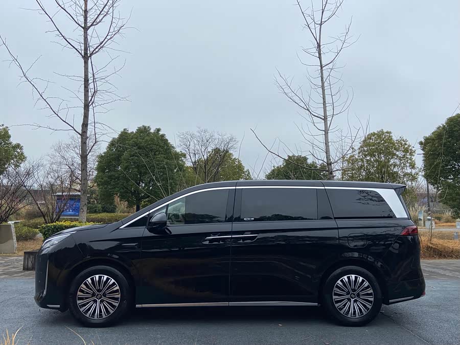 BYD Xia 2025 imagen de coche #21