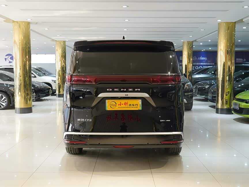 Denza D9 2025 imagen de coche #21