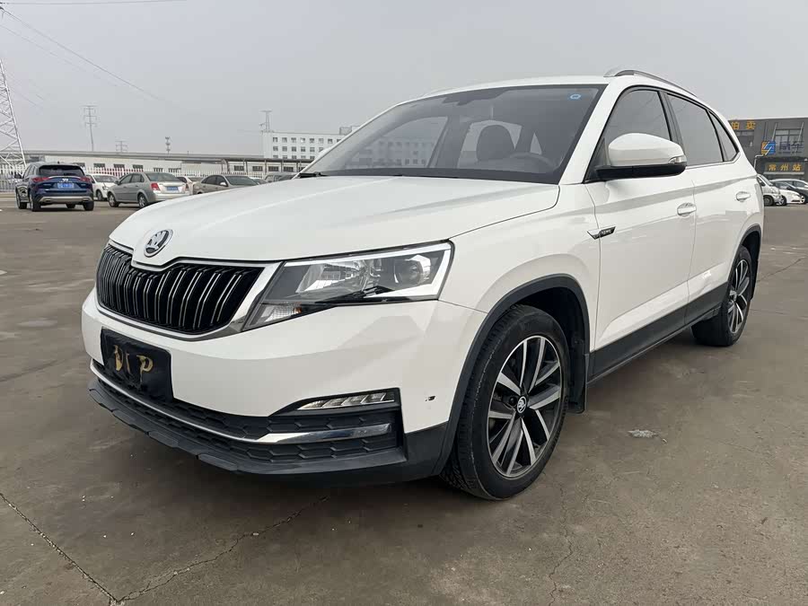 Skoda Kamiq 2020 car image #21