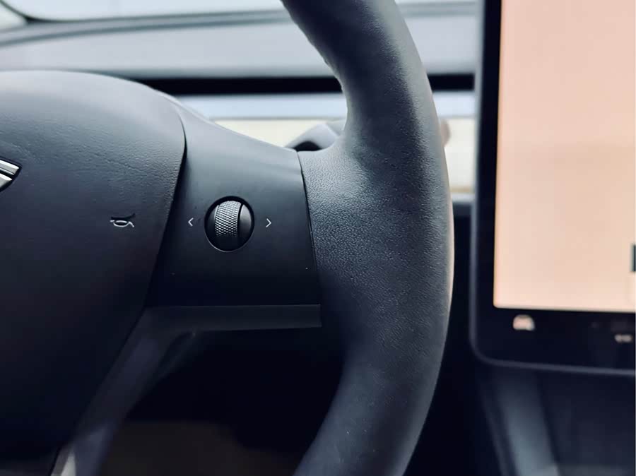 Tesla Model 3 2023 immagine di auto #21