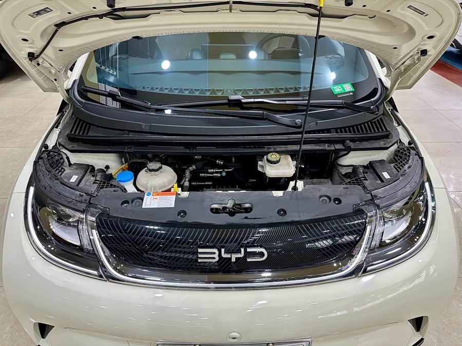 BYD Dolphin 2024 imagem de carro #21