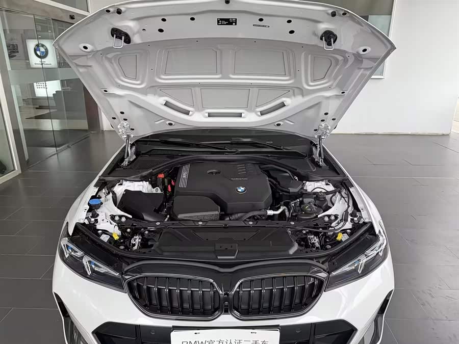 BMW 3 Series car image #21