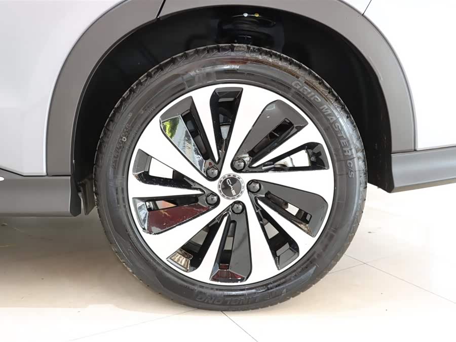 BYD Song Plus New Energy 2023 immagine di auto #21