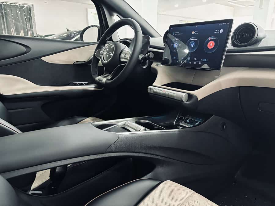 BYD Dolphin 2024 imagem de carro #21