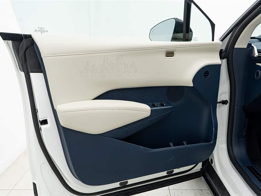 Zeekr X 2024 immagine di auto #21