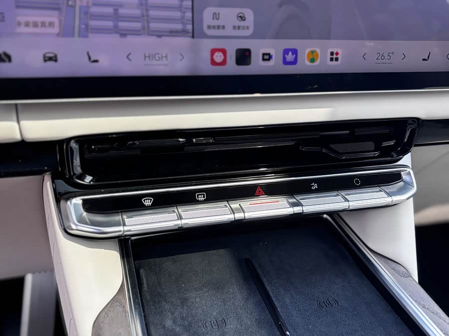 极氪 极氪9X 2025 汽车图片 #21