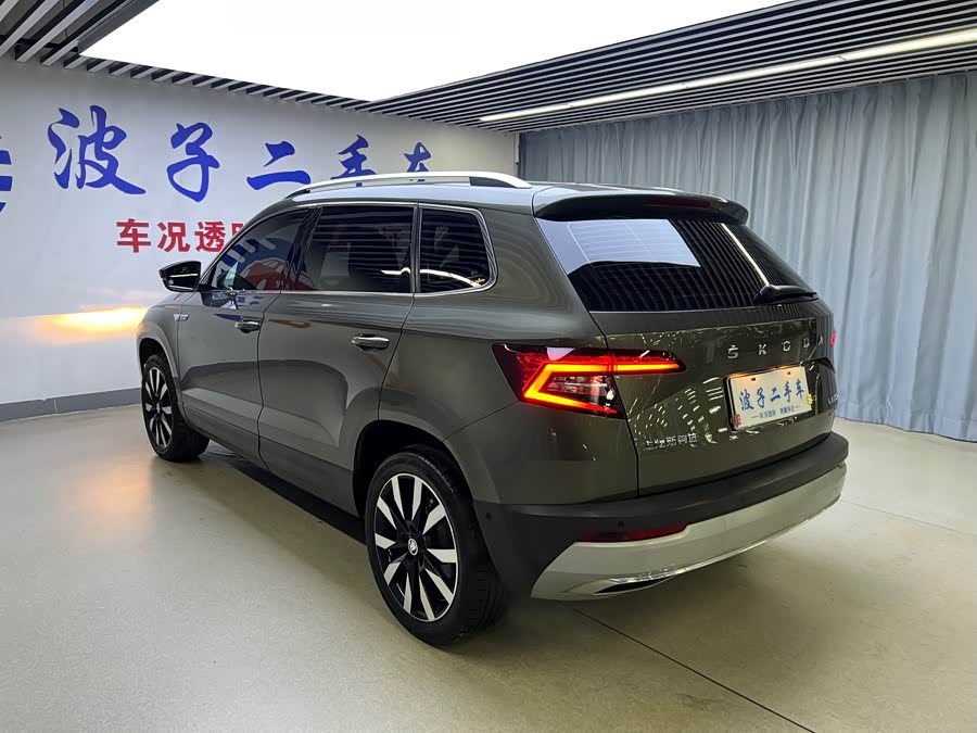 Skoda Karoq 2019 car image #21