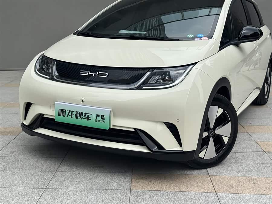 BYD Dolphin 2023 imagem de carro #21