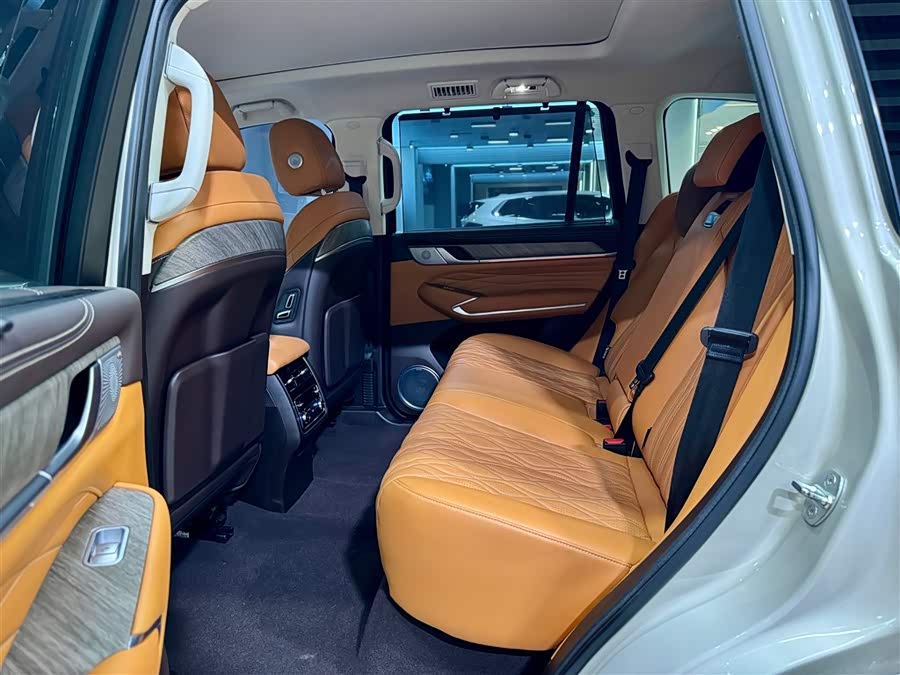 坦克 坦克500 2023 汽车图片 #21