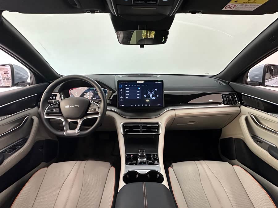 BYD Song Plus New Energy 2024 immagine di auto #21