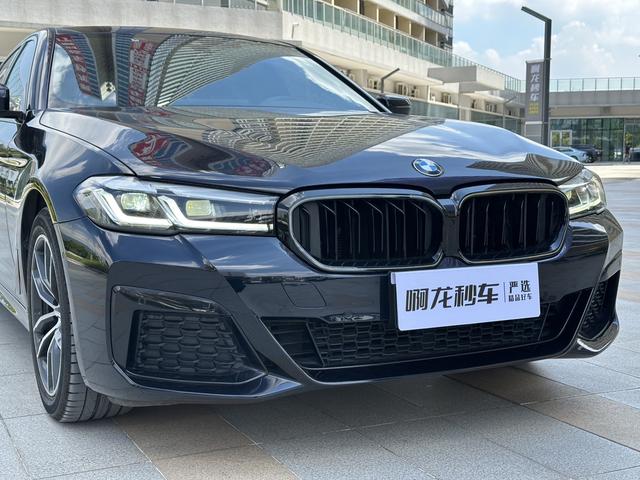 BMW 5 Series (Imported) 2021 car image #21