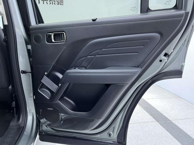 Haval Raptor New Energy 2024 car image #21