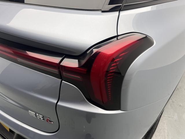 Neta L 2025 imagen de coche #21