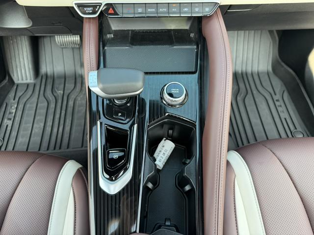 GEELY Monjaro 2024 imagen de coche #21