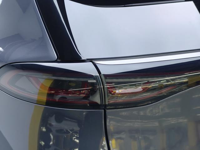 Denza 2021 imagem de carro #21