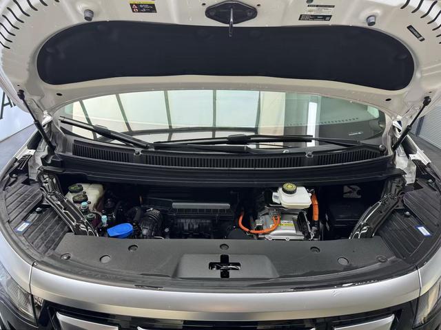 Denza D9 2023 image de voiture #21