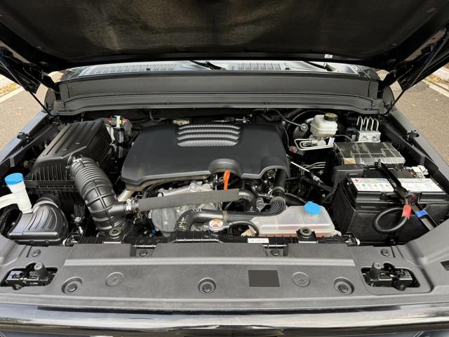 Tank 300 2022 car image #21