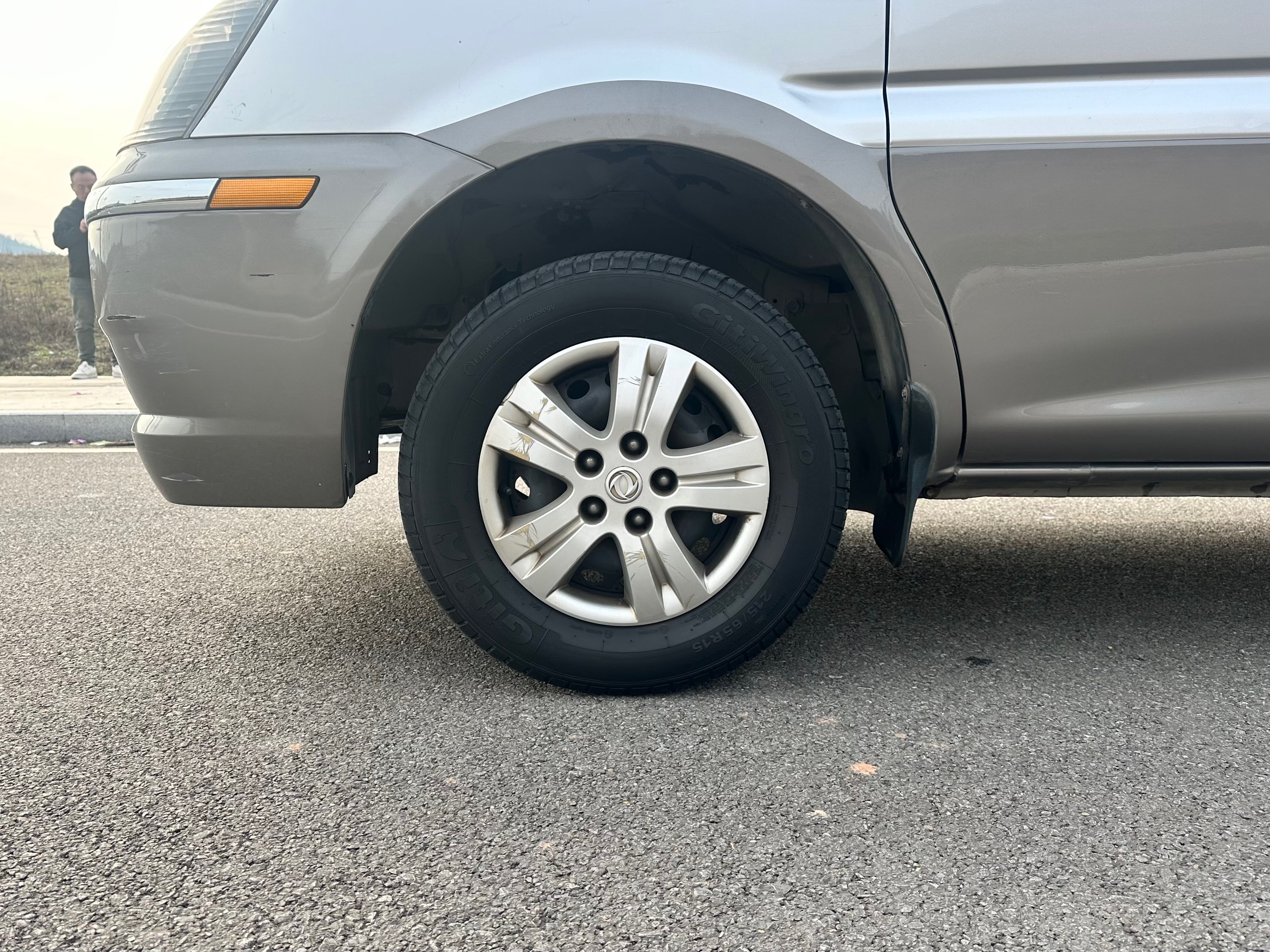 Forthing Lingzhi 2014 car image #21