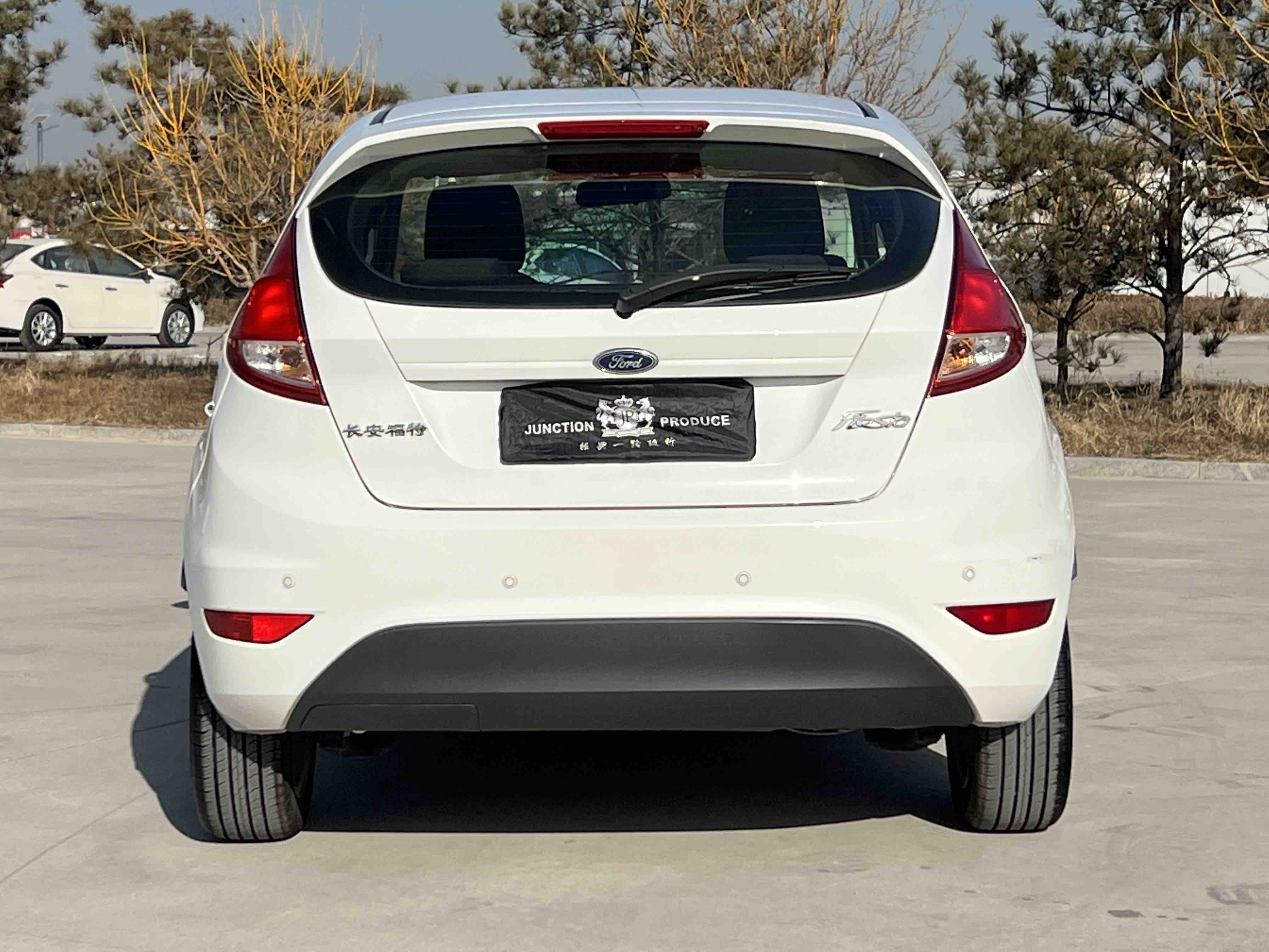 Ford Fiesta 2016 car image #21