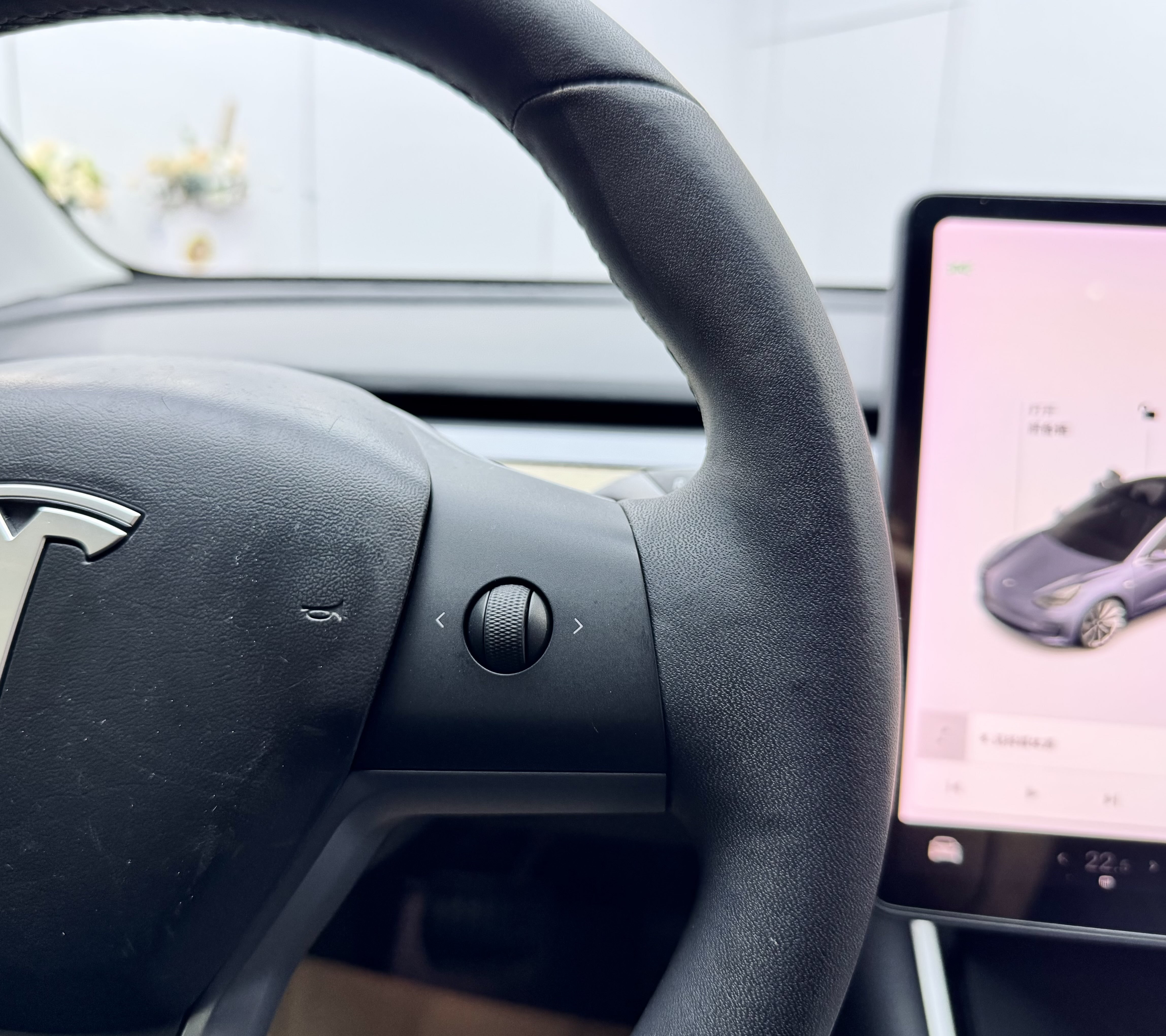 特斯拉 Model 3(进口) 2019 汽车图片 #21