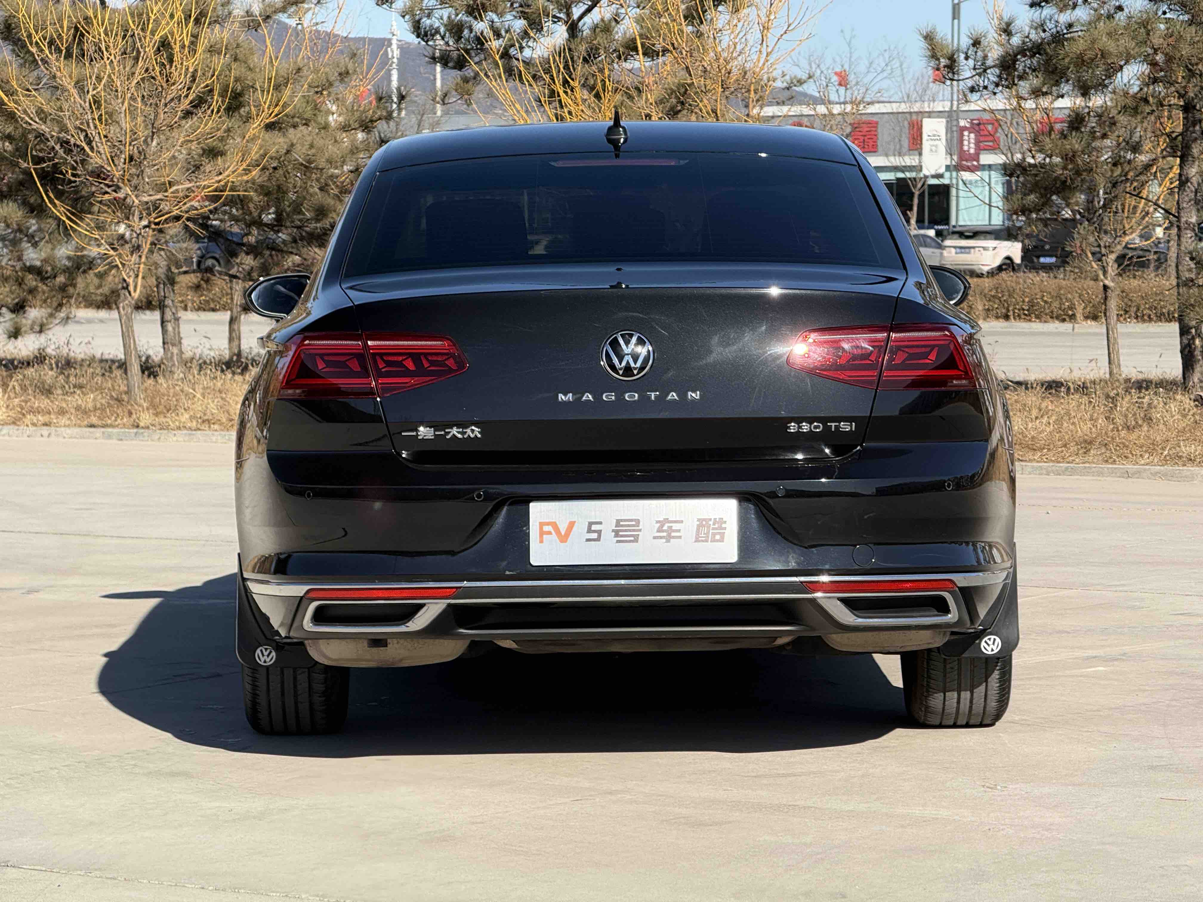 Volkswagen Magotan 2021 car image #21