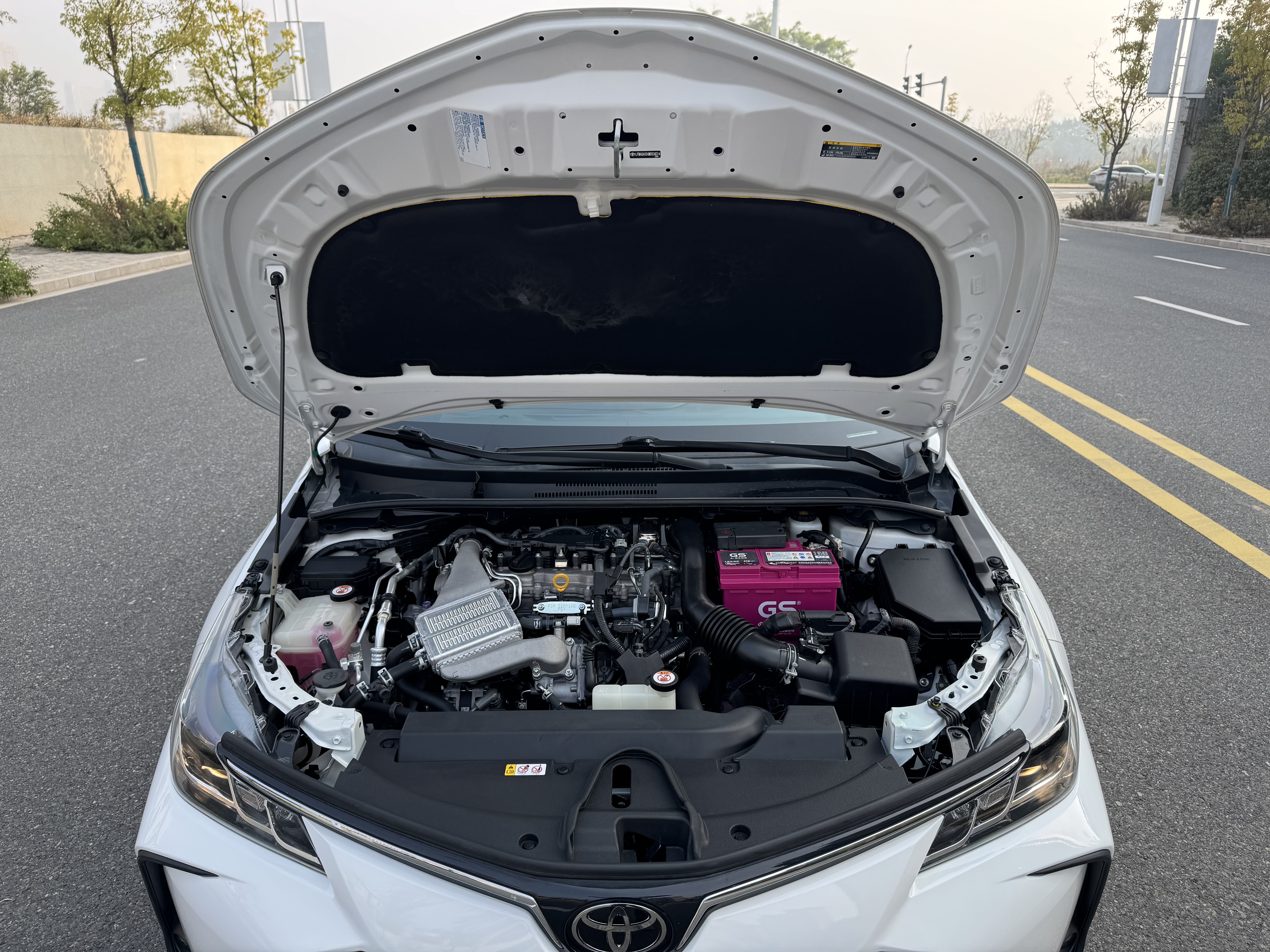 Toyota Corolla 2021 car image #21