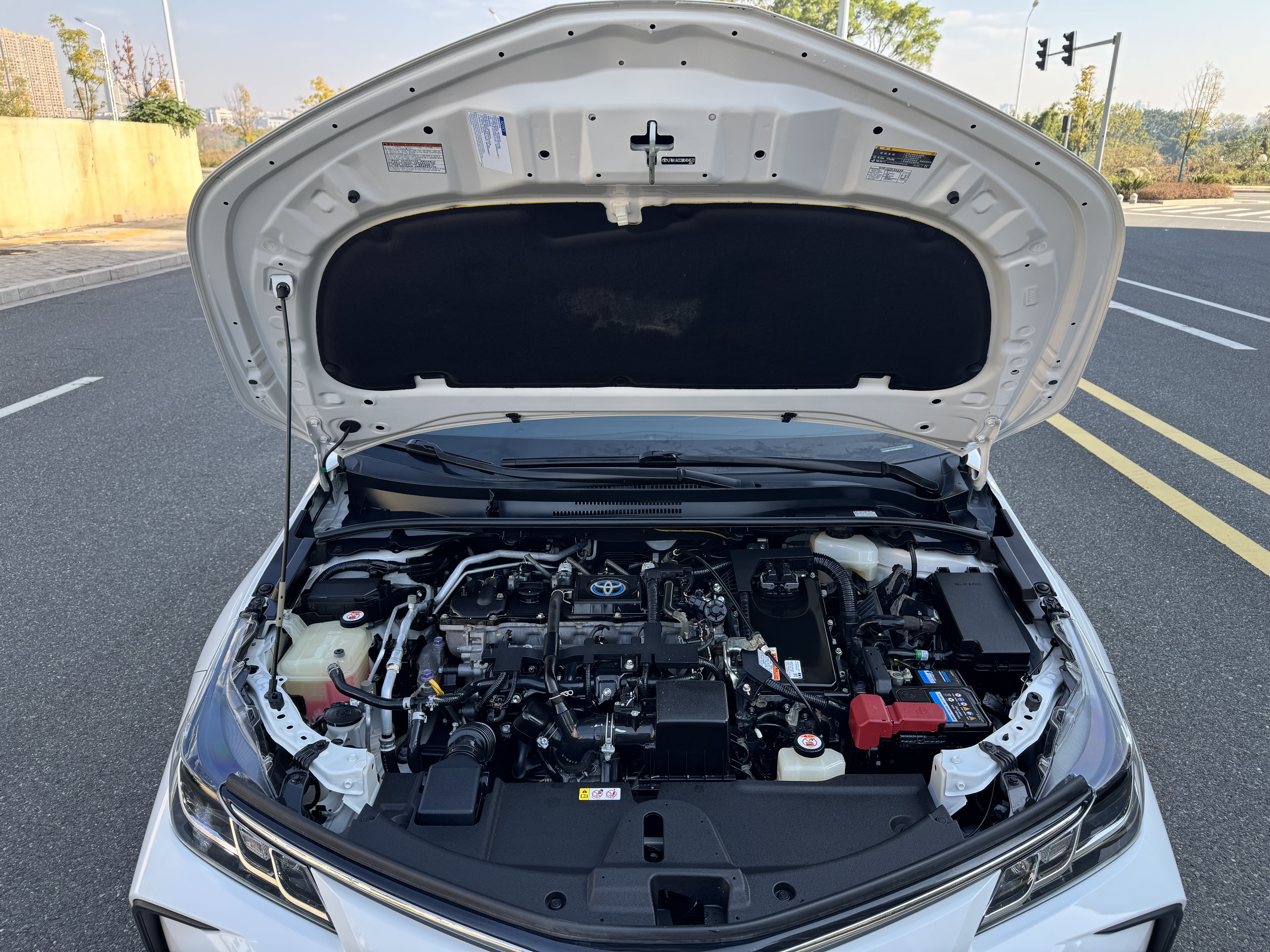 Toyota Corolla 2021 car image #21