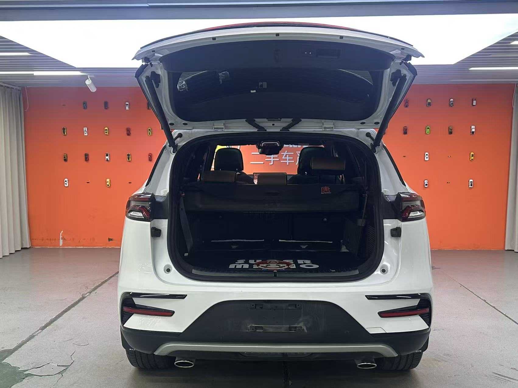 BYD Tang New Energy 2021 car image #21
