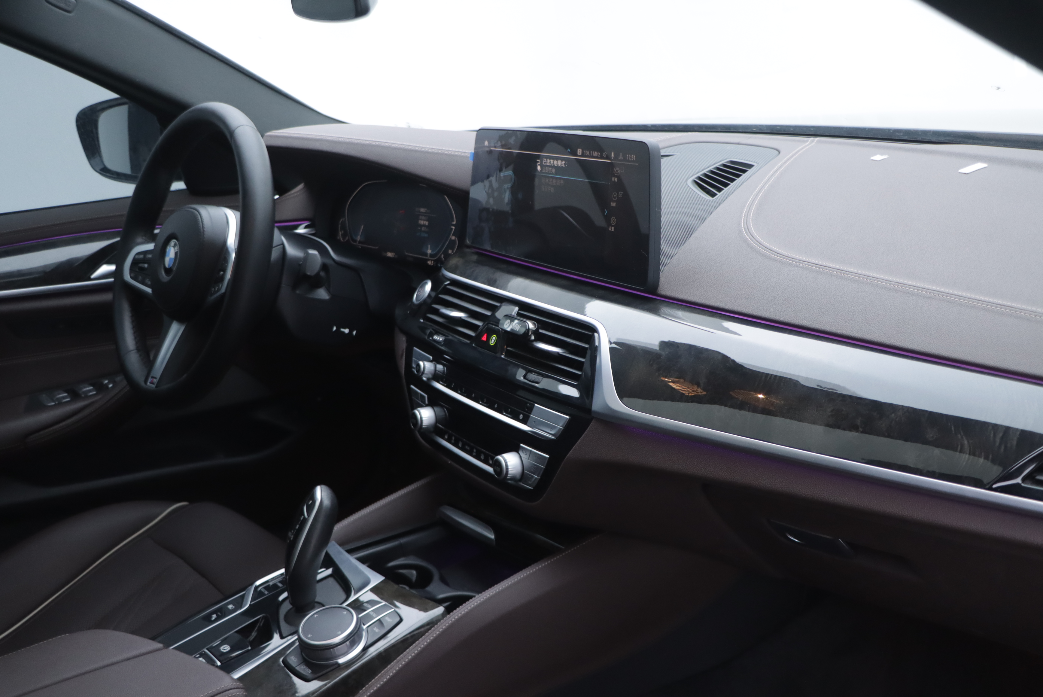 BMW 5 Series New Energy 2021 car image #21