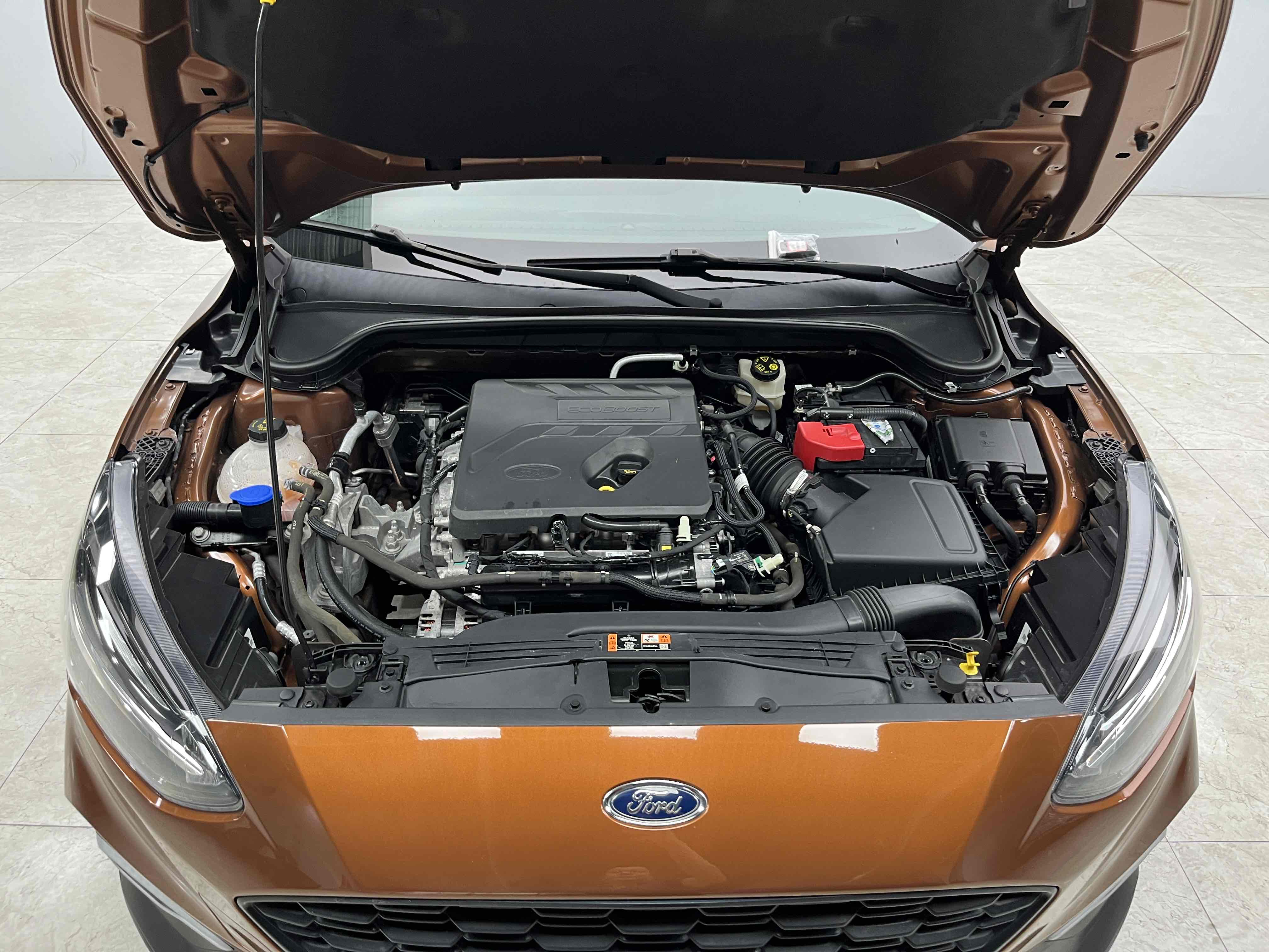 Ford Focus Active 2021 car image #21