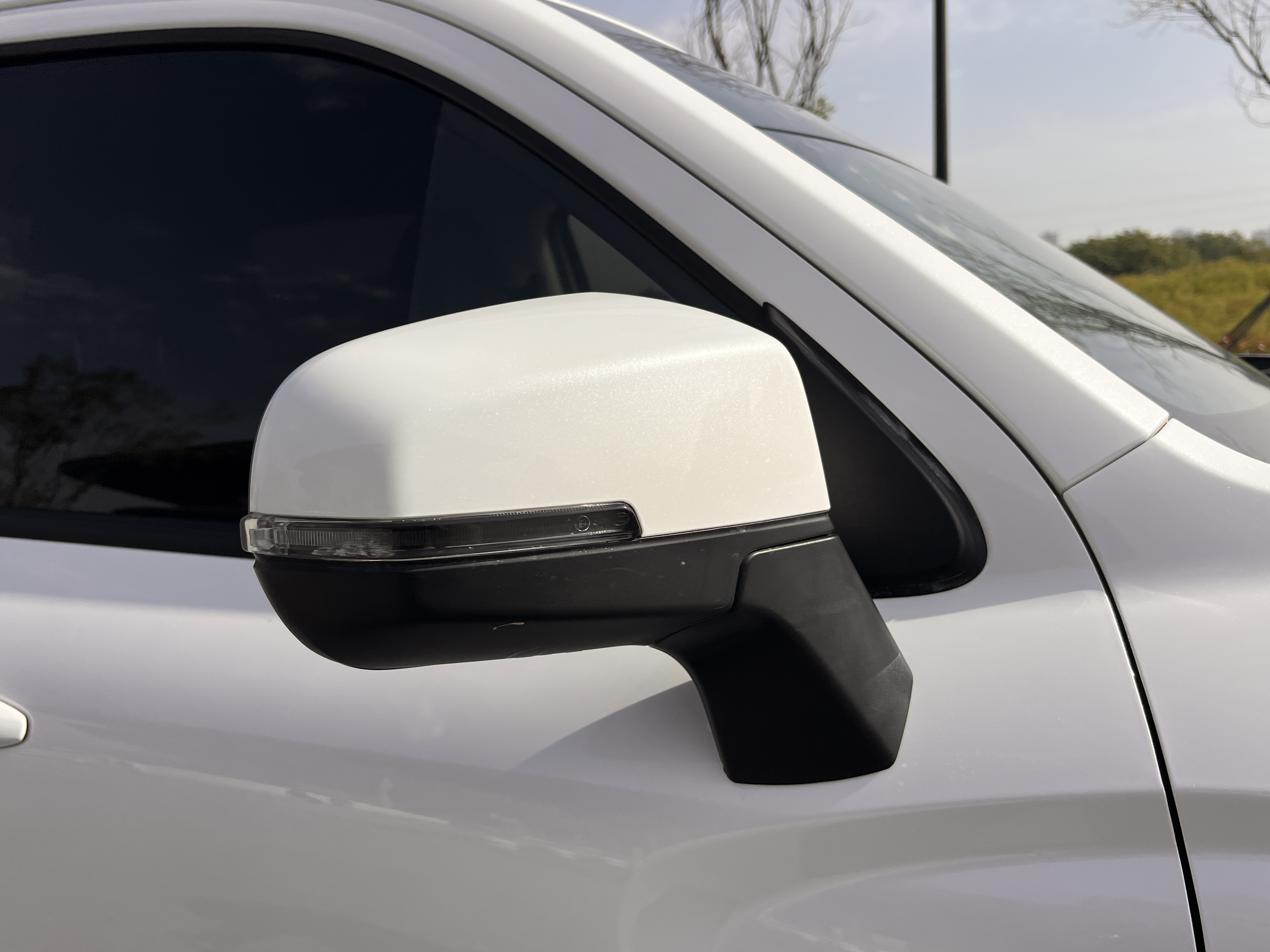 Great Wall Jingang Pao 2022 car image #21