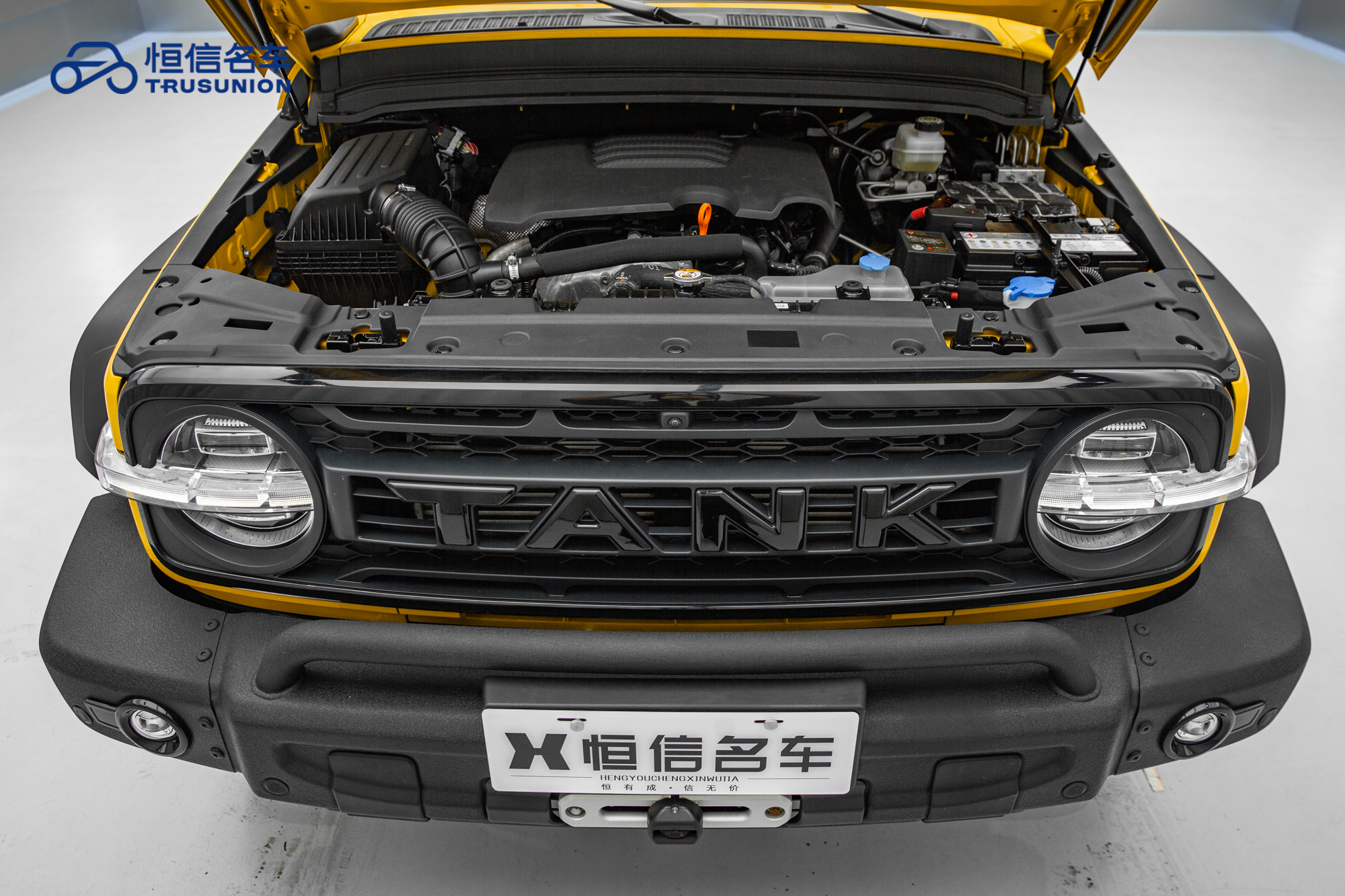 Tank 300 2023 car image #21