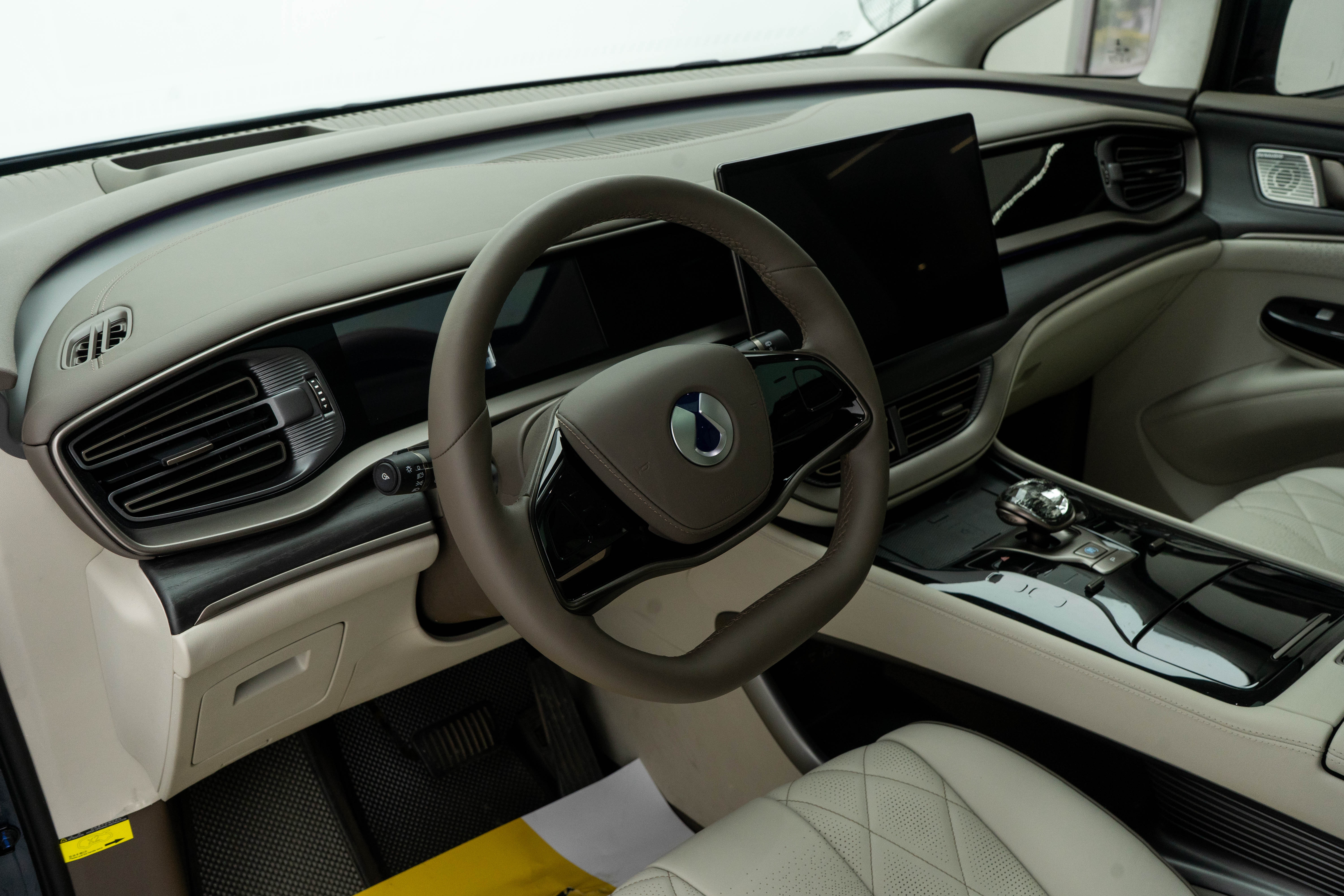 Denza D9 2023 immagine di auto #21