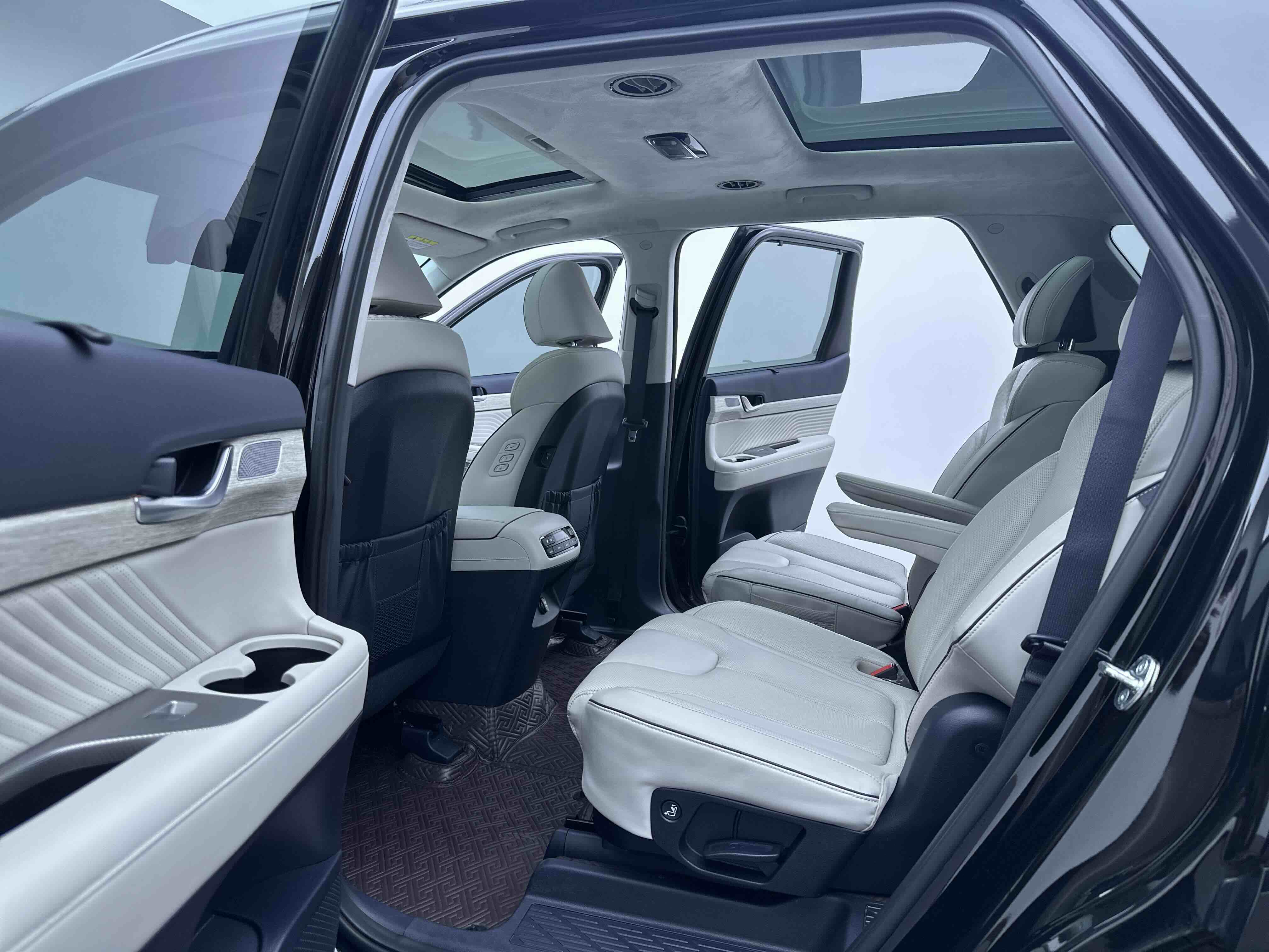 Hyundai Palisade 2024 car image #21