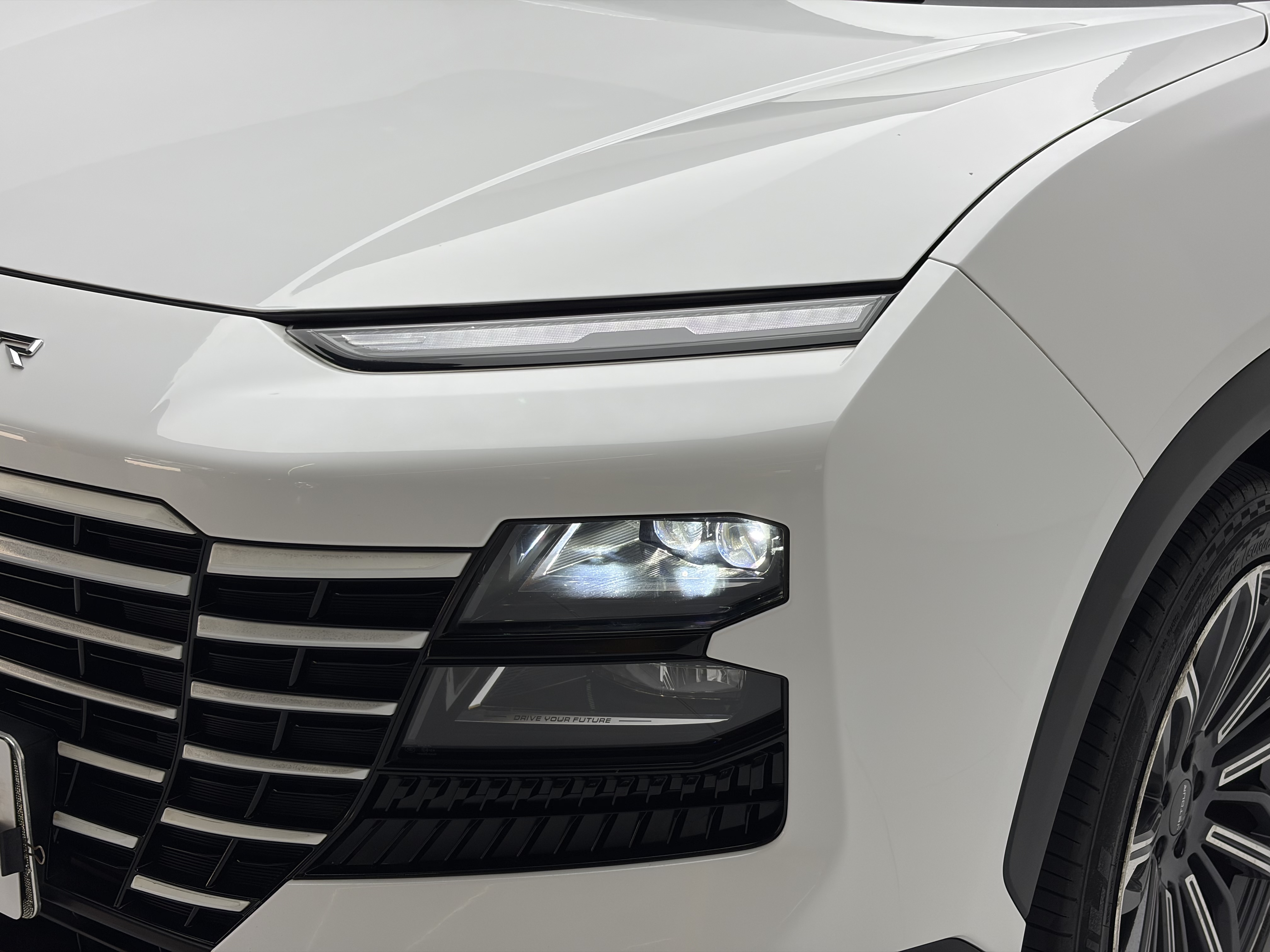 Dashing 2023 car image #21