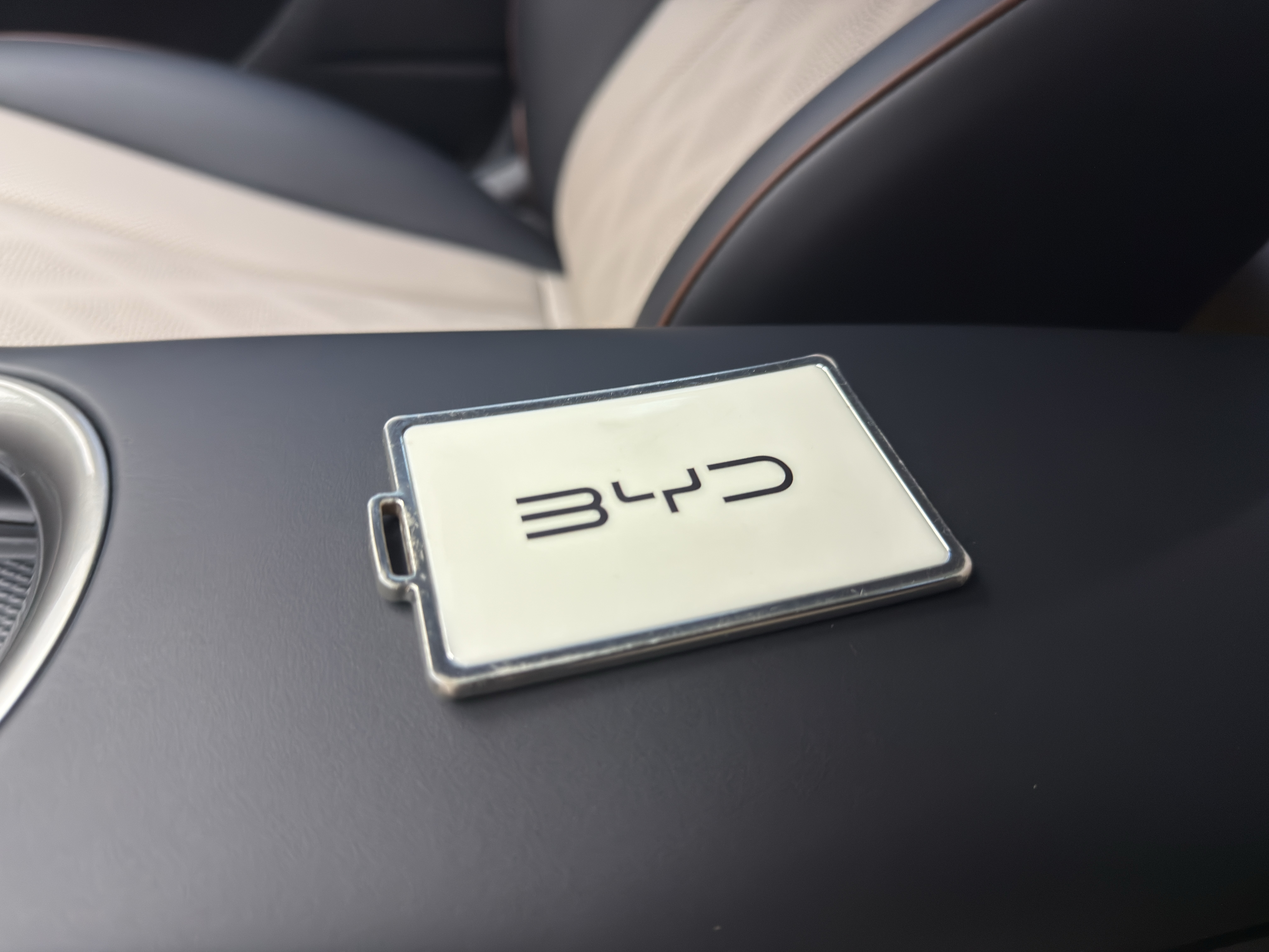 BYD Dolphin 2024 car image #21