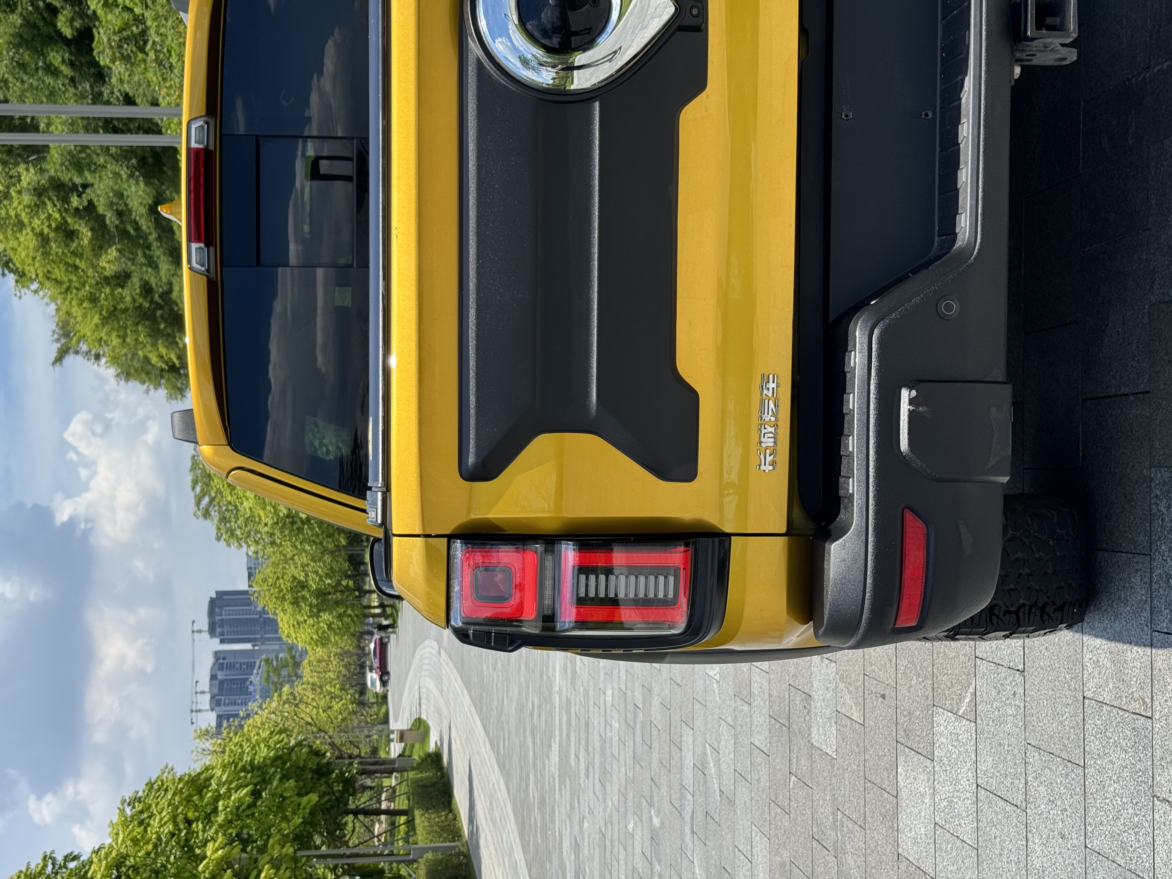 Great Wall Shanhai Pao 2024 car image #21