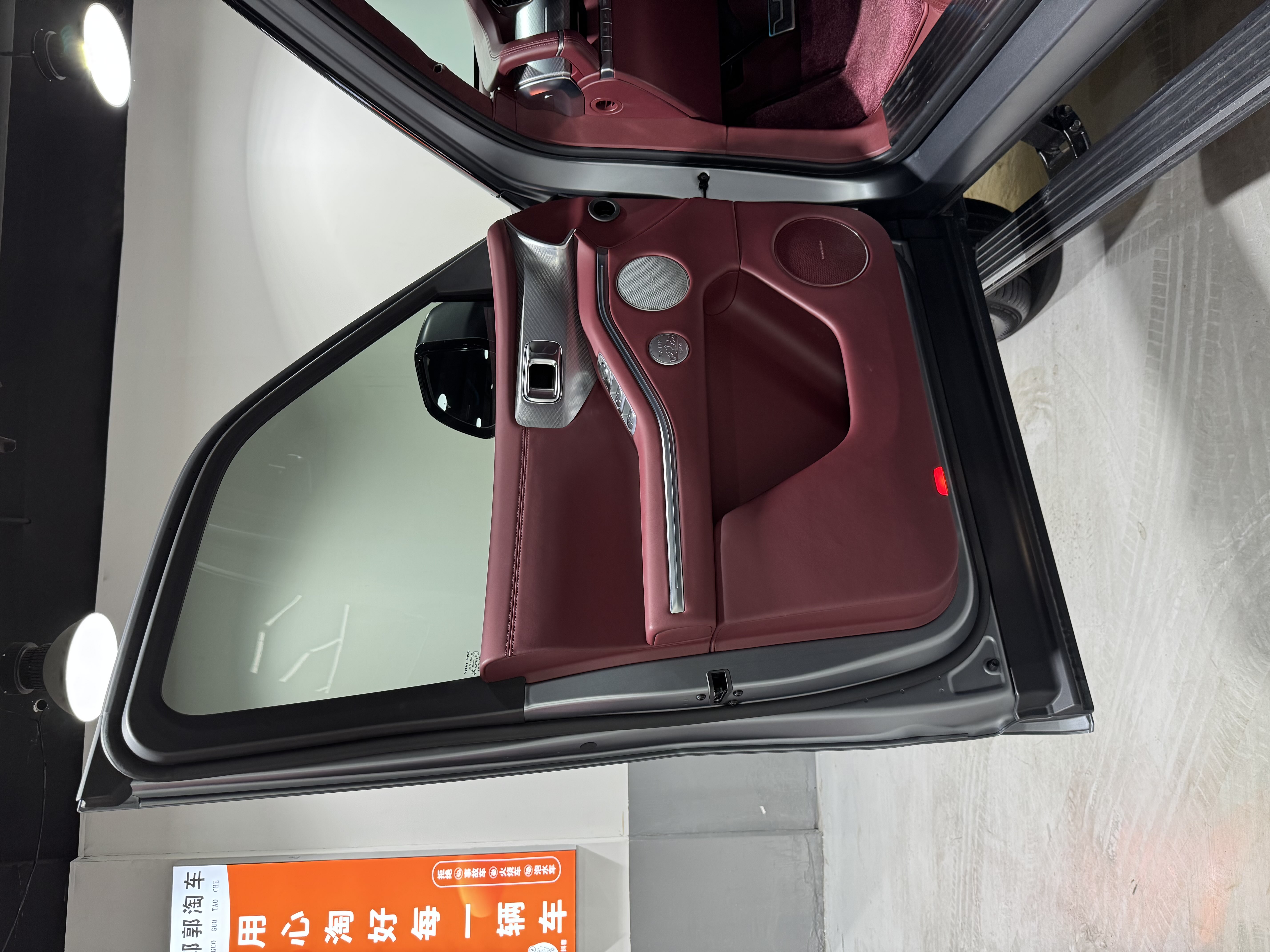 Tank 700 New Energy 2024 immagine di auto #21