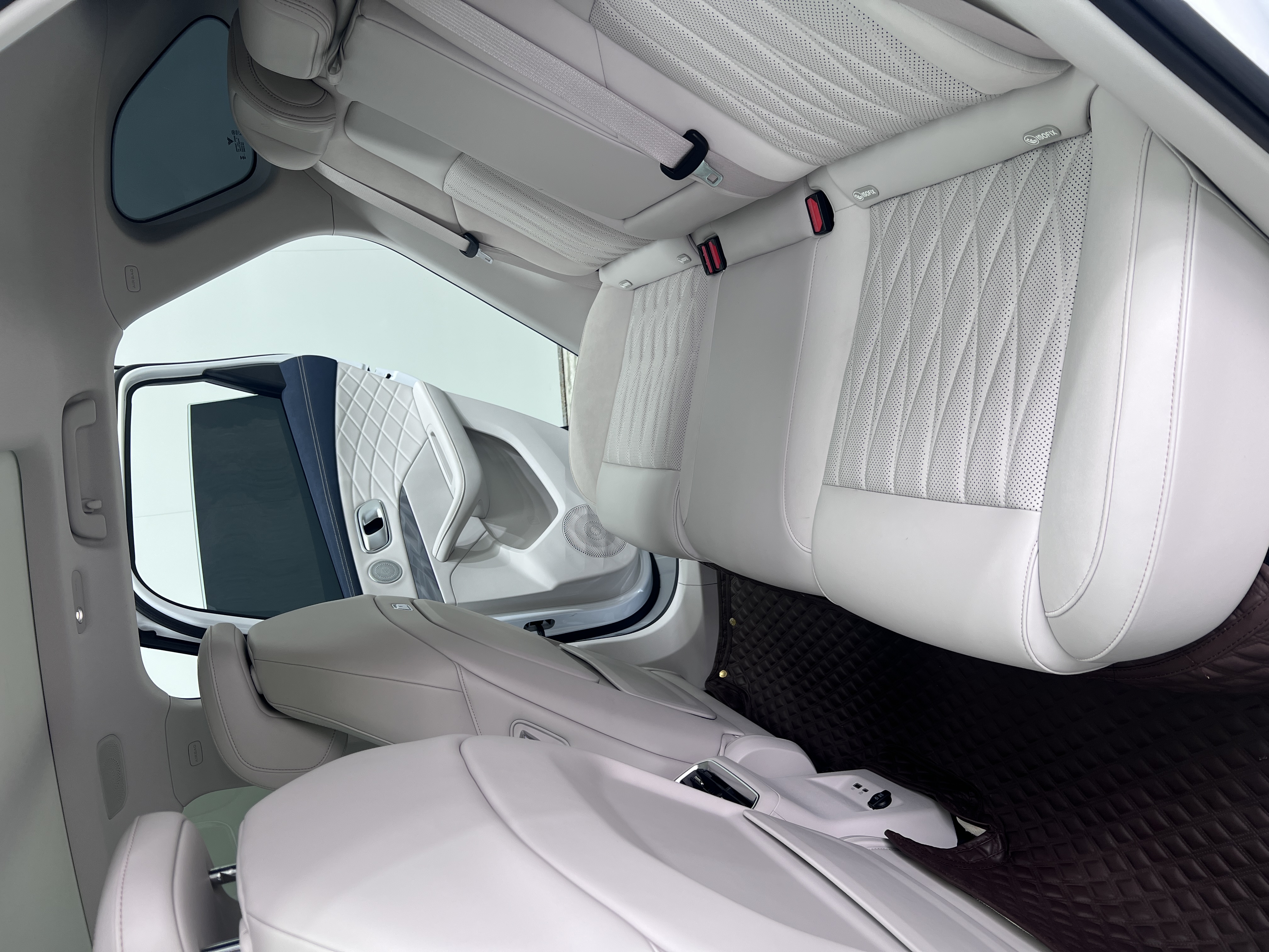 Neta L 2024 imagen de coche #21