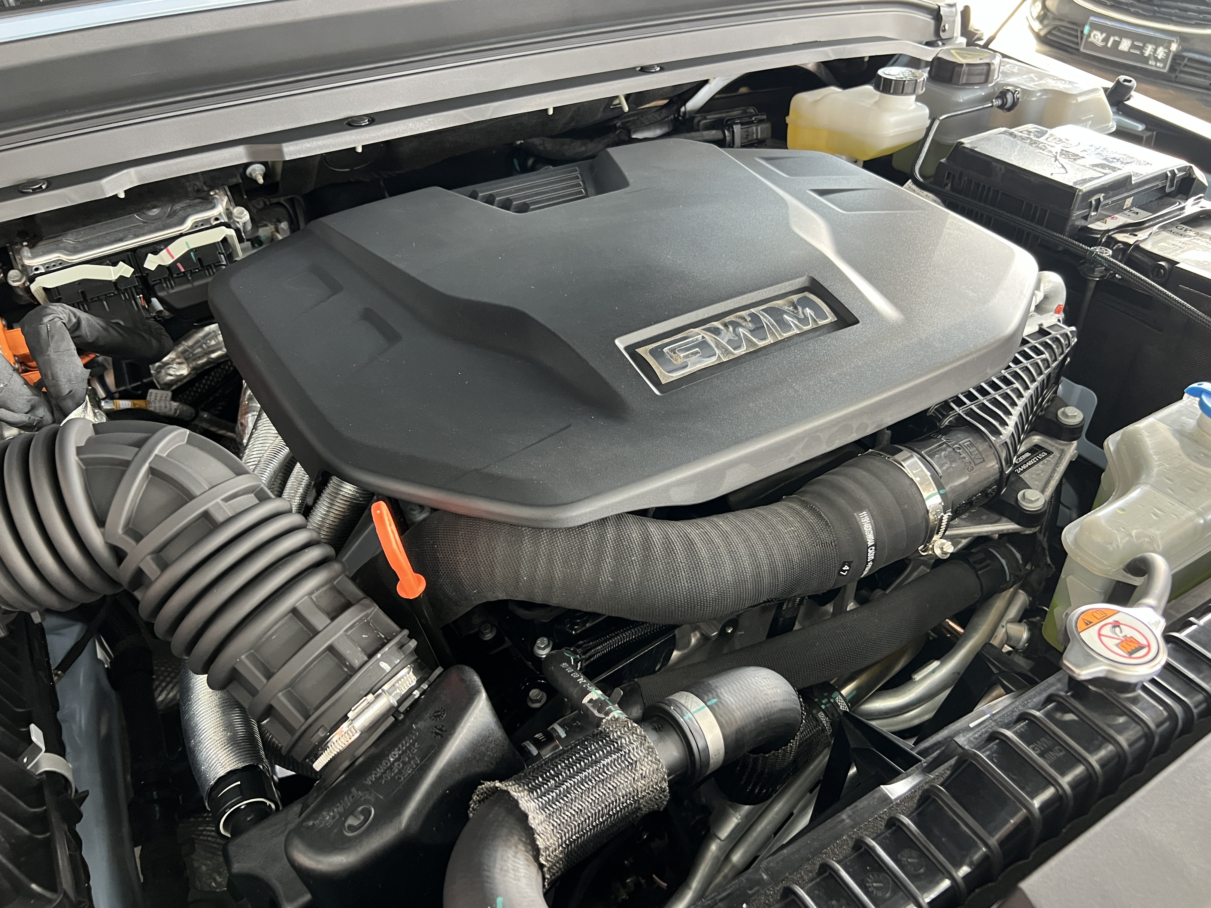 Tank 300 New Energy 2024 #21 Tank 300 New Energy 2024 immagine di auto #21