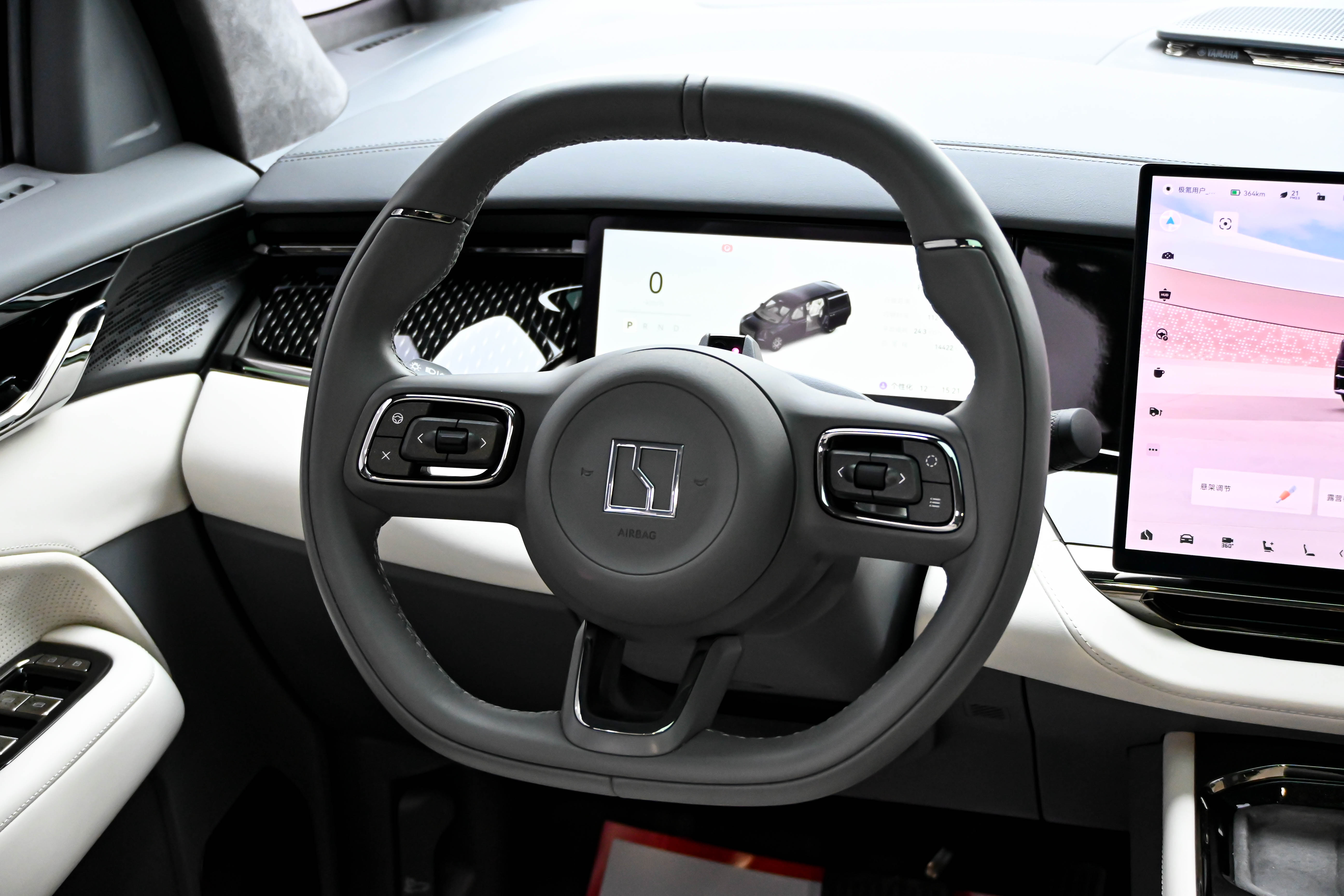 极氪 极氪009 2024 汽车图片 #21